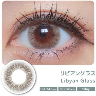 COLOR MAJORITY 1Day Libyan Glass カラーマジョリティー リビアングラス